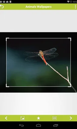 Animals Wallpapers screenshot 8