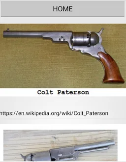 American Revolvers screenshot 5