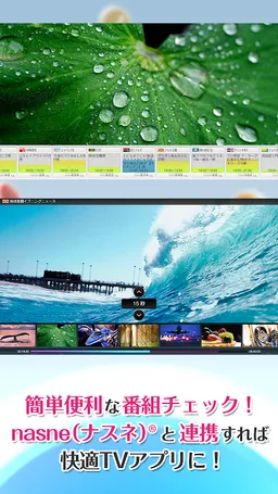 torne® mobile screenshot 4