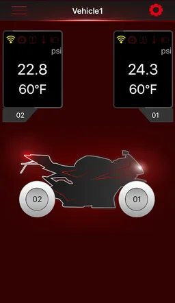 BLU TPMS screenshot 1