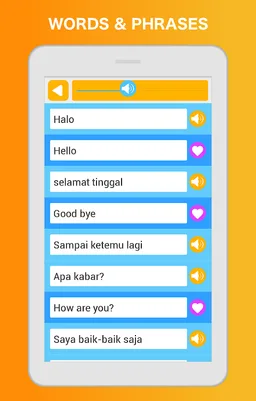 Learn English Speak Language screenshot 7