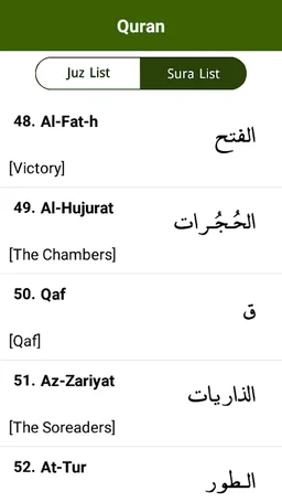 Quran Kurdish screenshot 2