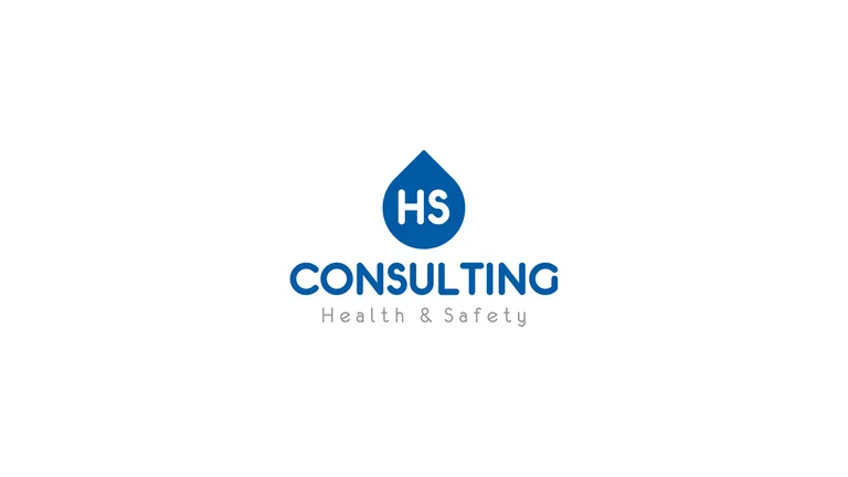 HS Consulting screenshot 2