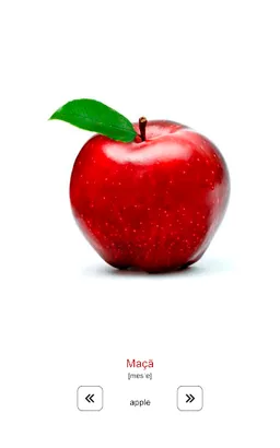 Learn and play Portuguese screenshot 17