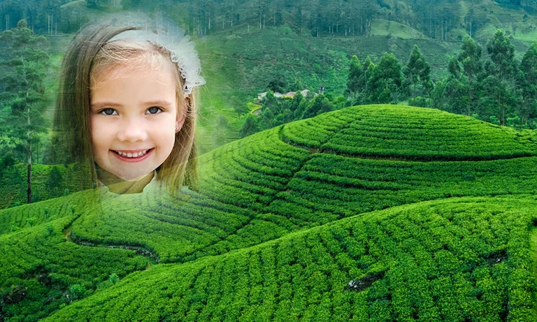 Green Hill Photo Frames screenshot 6