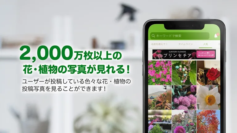 GreenSnap - 植物・花の名前が判る写真共有アプリ screenshot 3