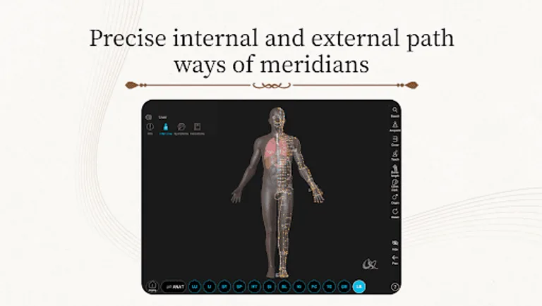 Acupuncture Master screenshot 8