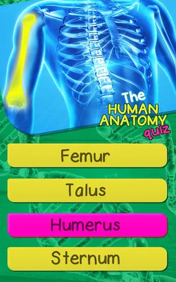 The Human Anatomy Quiz App On Human Body Organs screenshot 1