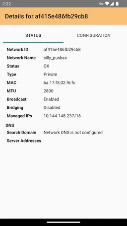 ZeroTier One screenshot 3