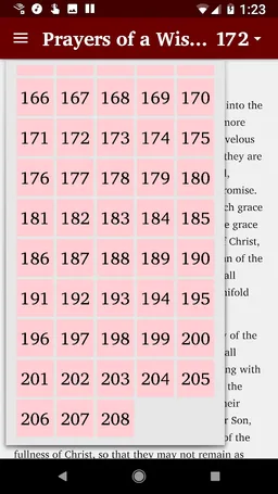 Prayers of a Wise Parent screenshot 6