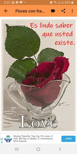 Ramos de flores hermosos screenshot 8