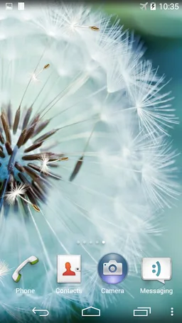 Dandelion Live Wallpaper screenshot 2