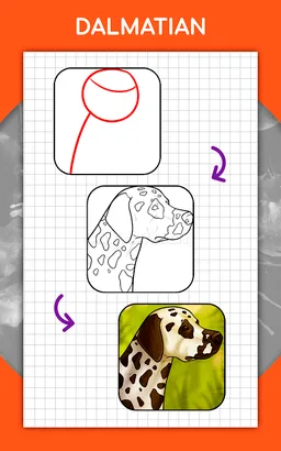How to draw animals. Step by step drawing lessons screenshot 6