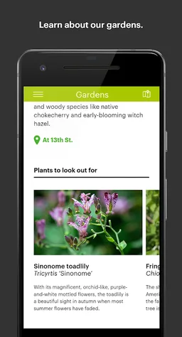 High Line Official Guide screenshot 5