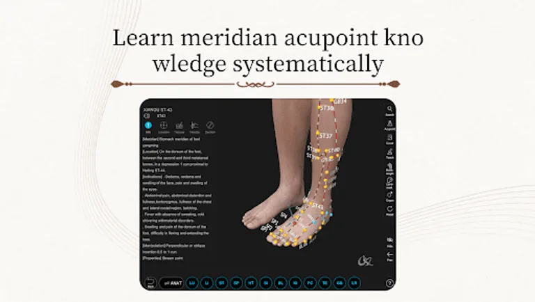 Acupuncture Master screenshot 11