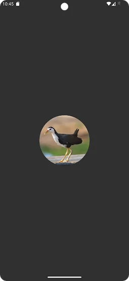 White-breasted waterhen Sounds screenshot 4