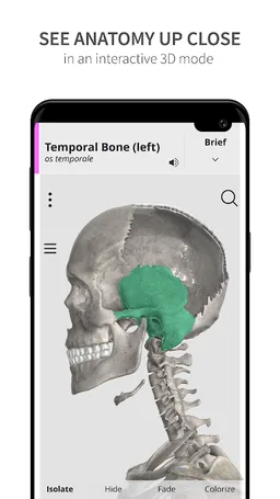 Anatomyka Skeleton screenshot 7