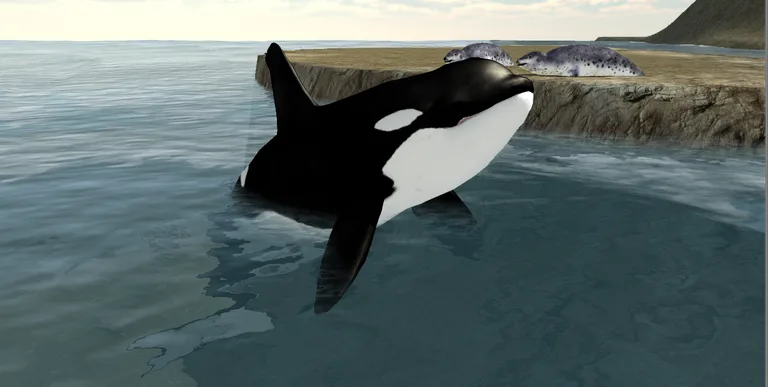 Orca Whale Simulator 3D screenshot 1