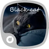Black Cat-Solo Theme icon
