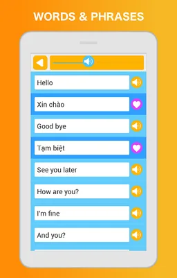 Learn Vietnamese Language screenshot 5