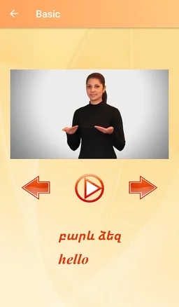 Armenian Sign Language screenshot 3