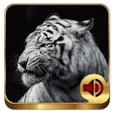 Animal Ringtones 200 icon