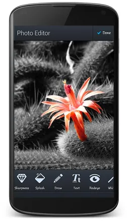 GIF Pro screenshot 4