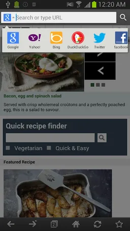 Exsoul Web Browser screenshot 4