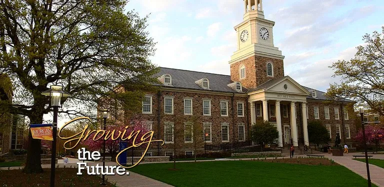 Morgan State cover image