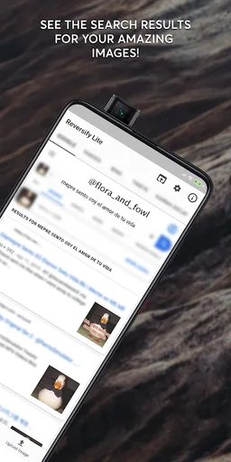 Reversify Lite – Reverse Image Search screenshot 4