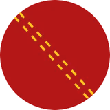 Duckworth-Lewis calculator icon
