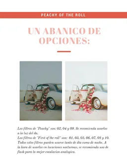 Peachy of the roll screenshot 4