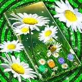 Daisy Parallax Wallpapers icon