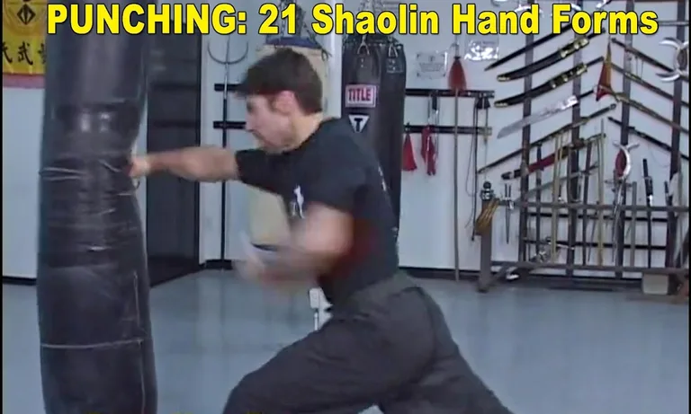 Shaolin Kung Fu screenshot 7