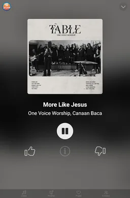 HIS Radio Praise screenshot 9