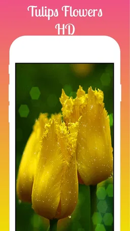 Tulips Live Wallpaper 2019 HD Free Tulips flowers screenshot 3