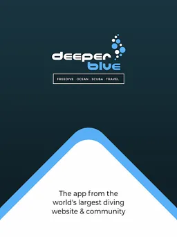 DeeperBlue.com screenshot 9