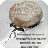 Imágenes de motivación icon