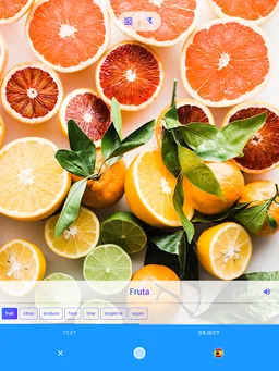 iTranslate Translator & Dictionary screenshot 12