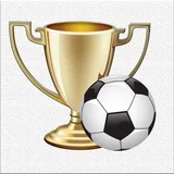 Türkiye Futbol Ligi icon