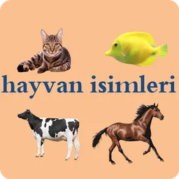 Animal names in Turkish icon