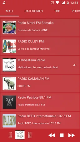 Mali Radio - Live FM Player screenshot 8