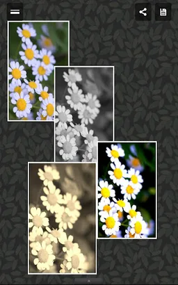 Photo Album screenshot 6