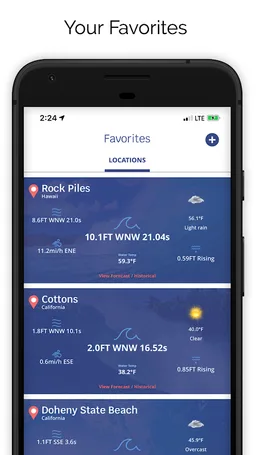 SURFER Forecast screenshot 12
