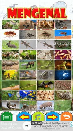 Belajar Nama Binatang screenshot 6