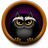 Owl night icon