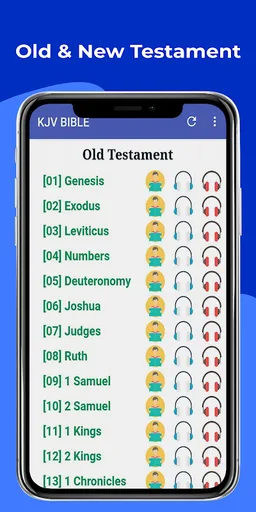 Audio Bible KJV - King James screenshot 3