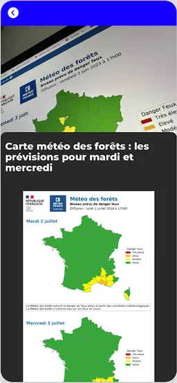 Feux de Forêt screenshot 2