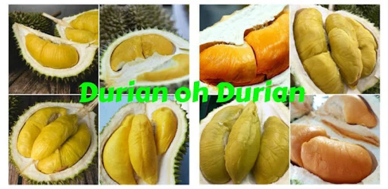 Durian: IOI Musang King cover image