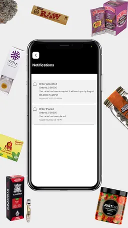 The Plug screenshot 7